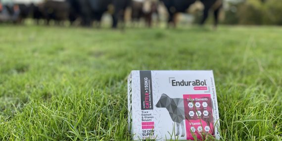 Cutting-edge bolus technology back on shelves